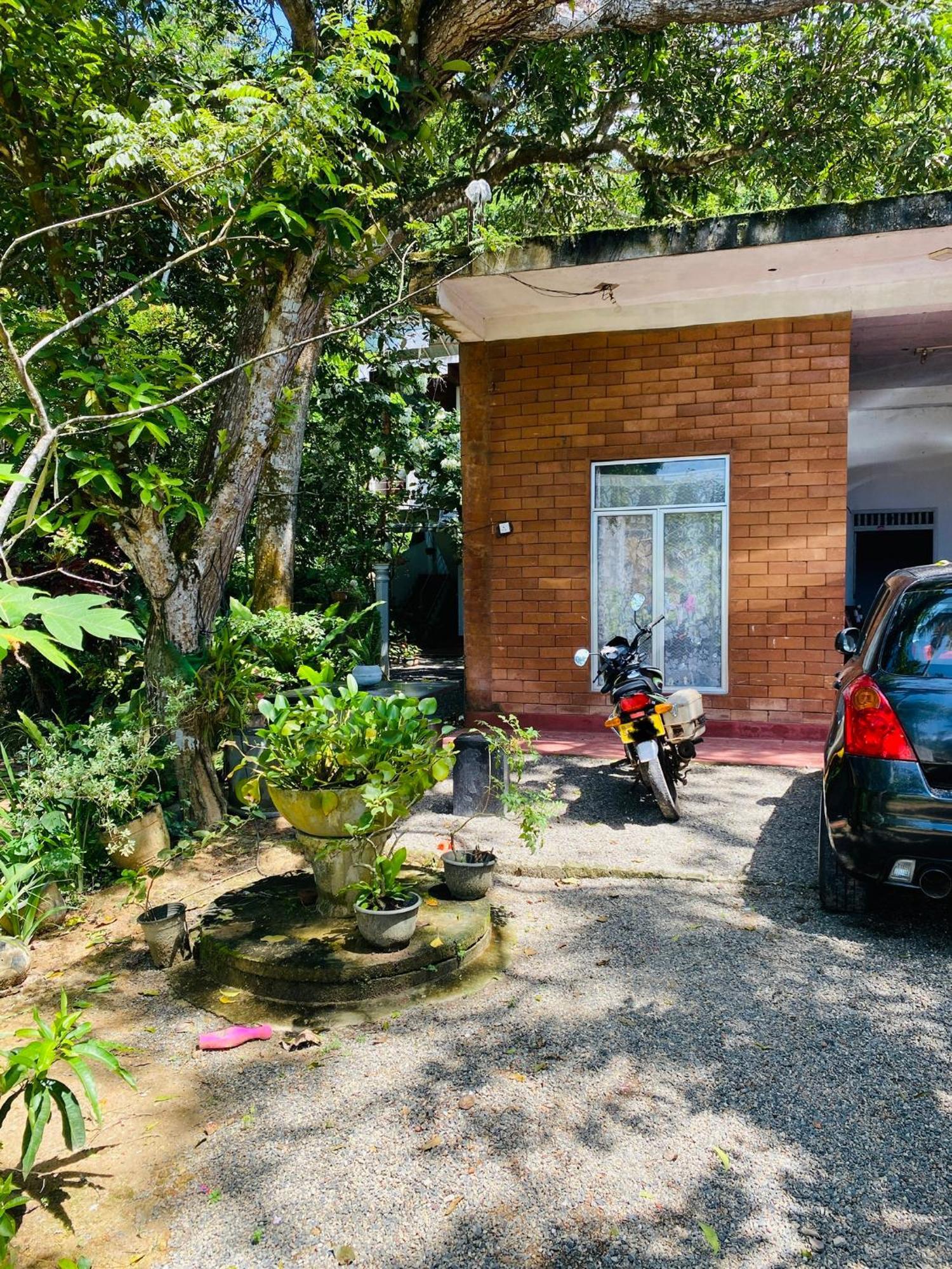Little Mount Guest House Mirissa Dış mekan fotoğraf
