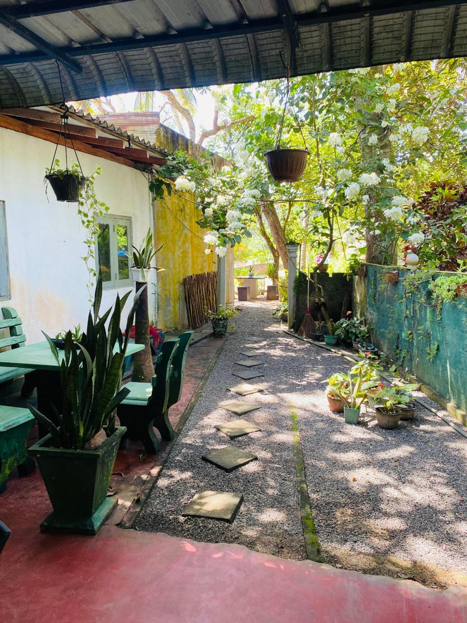 Little Mount Guest House Mirissa Dış mekan fotoğraf
